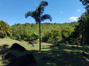 Natural landscape malapit sa villa