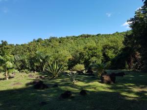 Garden sa labas ng L'Ecrin Vert