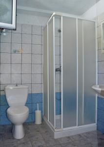 a bathroom with a toilet and a glass shower at Votsalo Apartments in Patitiri