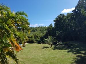 Natural landscape malapit sa villa