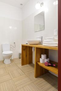 a bathroom with a sink and a toilet at Rokitnica 37 in Niesulice