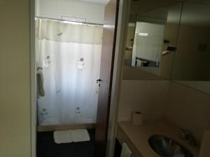 een badkamer met een douche, een wastafel en een spiegel bij MViejo in Puerto Madryn