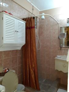 a bathroom with a shower with a toilet and a sink at Narakiel's Inn in Roseau