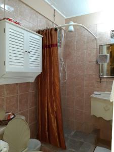 a bathroom with a shower with a toilet and a sink at Narakiel's Inn in Roseau +36 photos
