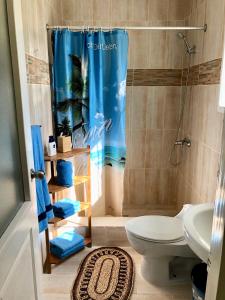 Ένα μπάνιο στο Casa Azul Las Galeras +53 φωτογραφίες