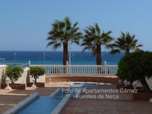 a pool with palm trees and the ocean in the background at Fuentes de Nerja in Nerja