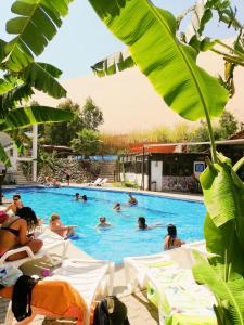 un grupo de personas nadando en una piscina en Carola Lodge, en Ica