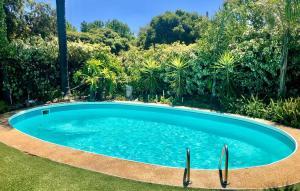 una piscina en un patio con árboles en Jolly Swagman Motor Inn Euroa, en Euroa