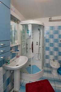 a bathroom with a shower and a sink and a toilet at Apartman Ljubica in Daruvar