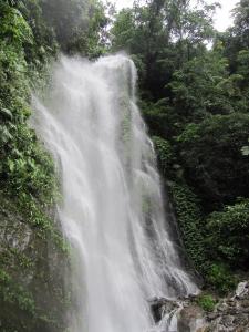 een waterval midden in een bos bij 賽斯村-魯柏館 in Fenglin +3 foto's