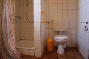 a small bathroom with a toilet and a shower at von Felde in Soltau