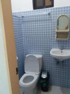 a bathroom with a toilet and a sink at Rosita's Cottages by the Road in Moalboal