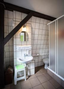 ビストシツァ・クウォツカにあるSudecka Chataのバスルーム(洗面台、トイレ付)