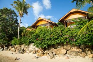 Zahrada ubytování Zama Resort Koh Phangan
