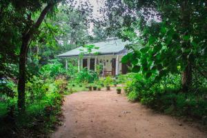 Giardino di Sigiriya Mana B&B