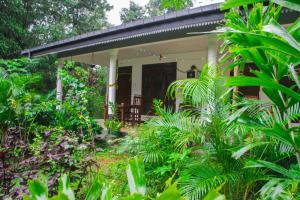 Zahrada ubytování Sigiriya Mana B&B