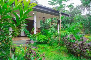 un giardino di fronte a una casa di Sigiriya Mana B&B a Sigiriya