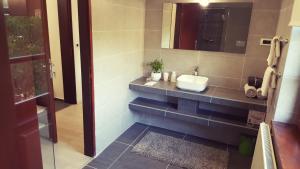 een badkamer met een wastafel en een spiegel bij Villa Ruhige Lage in Rakovica