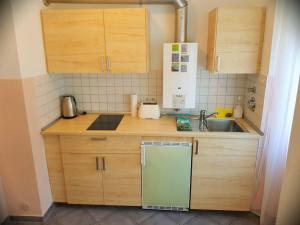 una pequeña cocina con armarios de madera y fregadero en Freiburg Apartment en Freiburg im Breisgau