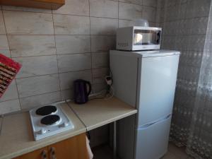 ノヴォシビルスクにあるSiberia Apartmentsの小さなキッチン(冷蔵庫、電子レンジ付)
