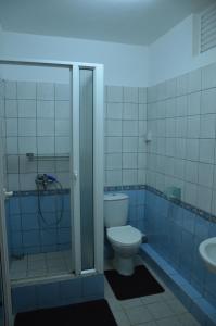 a bathroom with a toilet and a shower and a sink at Residences Beach Apartment in Flic-en-Flac