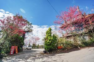 Κήπος έξω από το Yunnan Homestaty