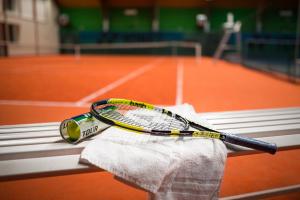 Tennis ja/või seinatennis majutusasutuses Wellness Hotel Step - Czech Leading Hotels või selle läheduses
