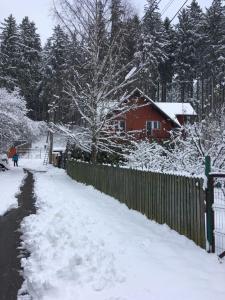 Vila Roberta om vinteren + 43 billeder