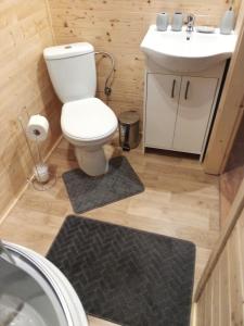 een kleine badkamer met een toilet en een wastafel bij MożeMorze? Ośrodek Domków Letniskowych in Chłopy