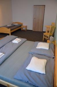 Gallery image of Hotel Andromeda in Ostružná