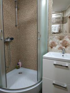 a shower with a glass door next to a sink at Apartments in the Center Maidan in Rivne
