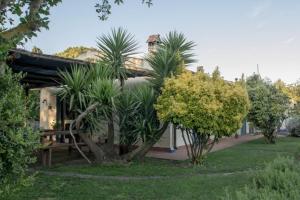 a house with palm trees in front of it at Agriturismo le colline di Capalbio in Capalbio