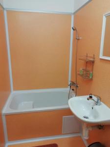 W łazience znajduje się wanna i umywalka. w obiekcie Ubytování Kozov w mieście Bouzov