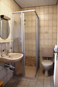 a bathroom with a shower and a toilet and a sink at Gollnow in Soltau