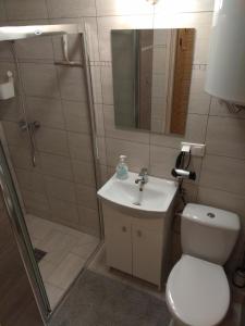 a bathroom with a toilet and a sink and a shower at Jeden domek in Sztutowo