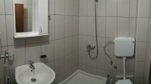 Ένα μπάνιο στο Vila Vuk Wolf