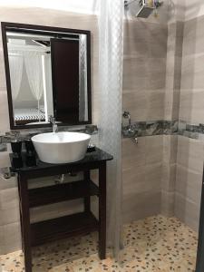 a bathroom with a sink and a shower at Villa Khatun Guesthouse in Panaji