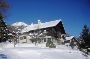 una grande casa nella neve con una montagna innevata di Ansitz Hofer a Fulpmes
