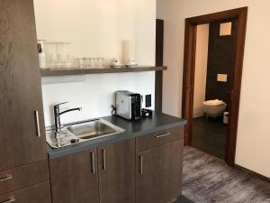Kuchyň nebo kuchyňský kout v ubytování Hotel Donauhof Mauthausen