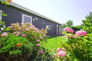 een tuin met roze bloemen voor een huis bij Holiday rentals in Velsen-Zuid