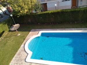 um pavão está ao lado de uma piscina em la casa gris em Alicante