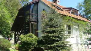 dom z drzewem przed nim w obiekcie Agroturystyka SPA w mieście Zelków