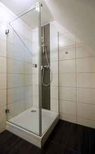 a shower with a glass door in a bathroom at Gasthaus Dörsthof in Alzenau