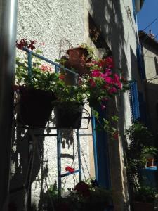 a group of potted plants on the side of a building at Blue Bench Krk in Krk
