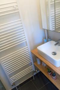 La salle de bains est pourvue d'un lavabo et d'un miroir. dans l'établissement La ptite chouette, à Dijon