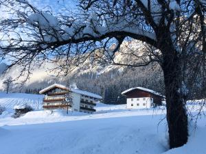 ein Gebäude im Schnee neben einem Baum in der Unterkunft Berghof Haselsberger Appartements in Sankt Johann in Tirol