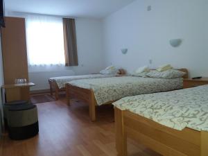 Galeriebild der Unterkunft Vila Vuk Wolf in Brzeće