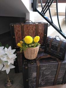 Fotografie z fotogalerie ubytování Lucero 12 v destinaci Marbella