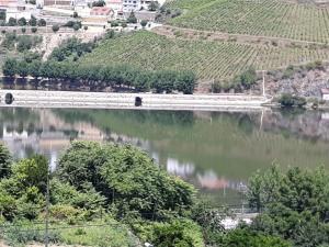 a view of a river with a train crossing a bridge at Casa da Padaria in Folgosa