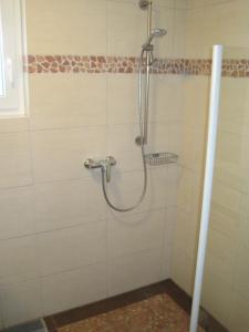 a shower in a bathroom with a glass door at Ferienwohnung Weber in Schleiden